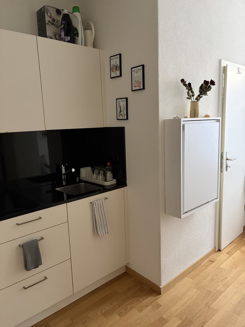 Wohnung in Zürich Oerlikon (2)