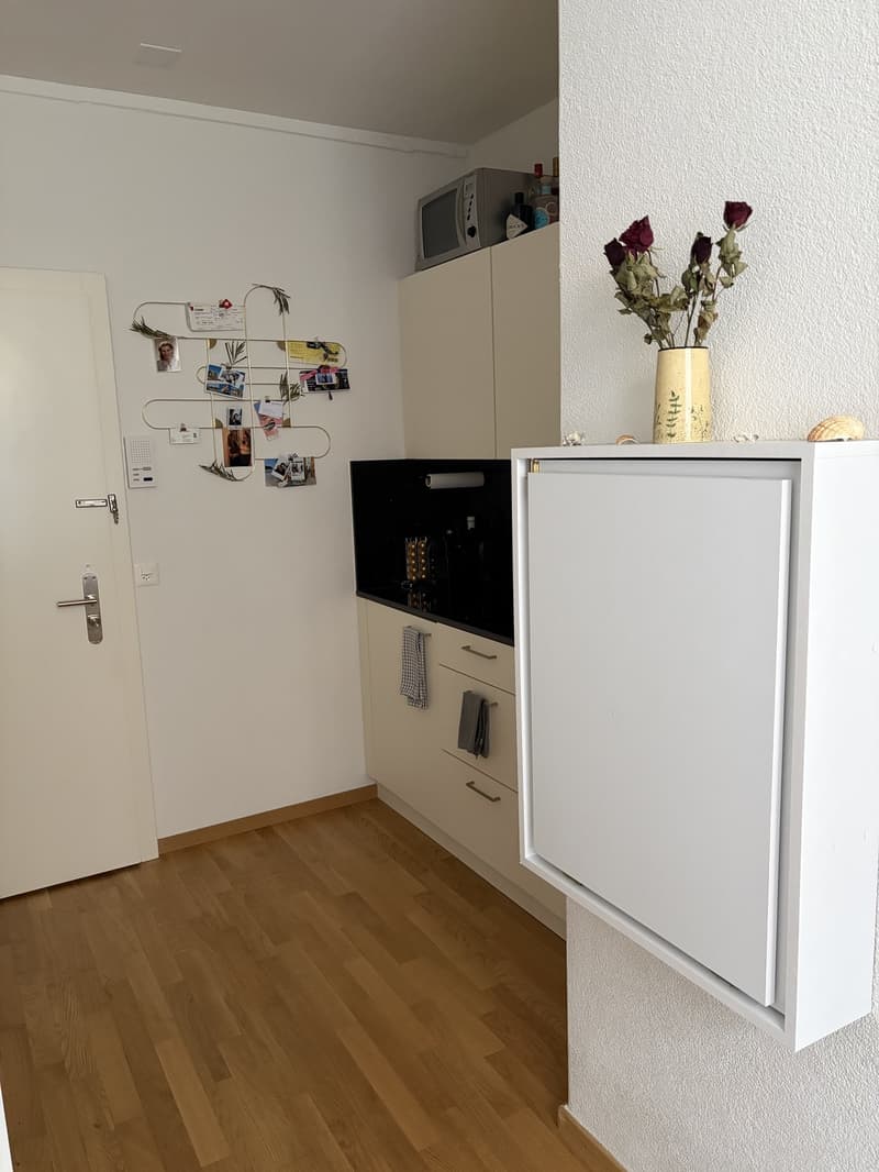Wohnung in Zürich Oerlikon (1)