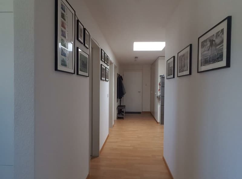 Appartamento arredato di 3,5 locali a Oerlikon in subaffitto - limitato da ottobre a marzo (13)