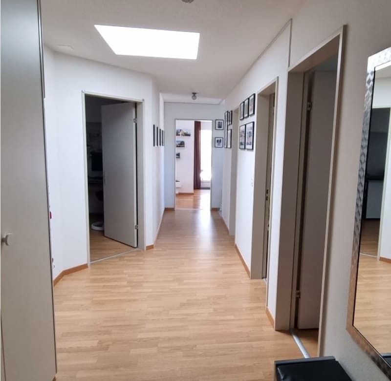 Appartamento arredato di 3,5 locali a Oerlikon in subaffitto - limitato da ottobre a marzo (12)