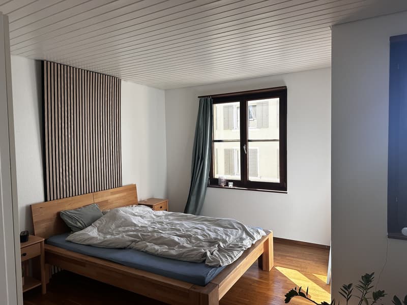 Appartement 2.5 pièces au bord du lac (6)