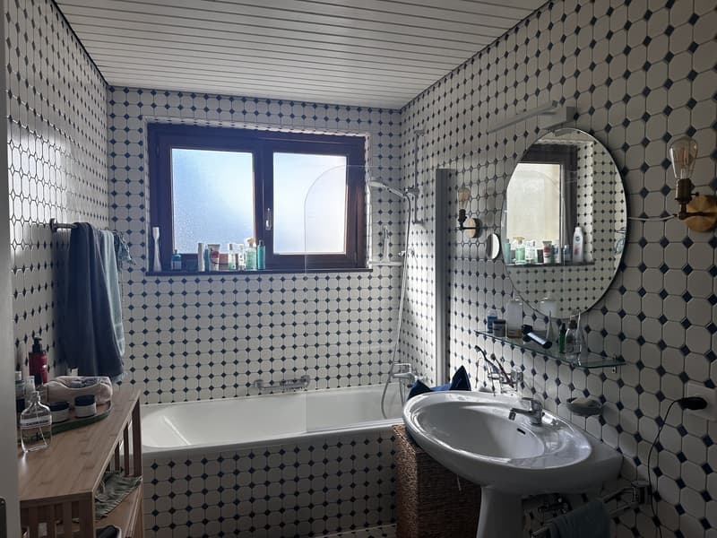 Appartement 2.5 pièces au bord du lac (2)