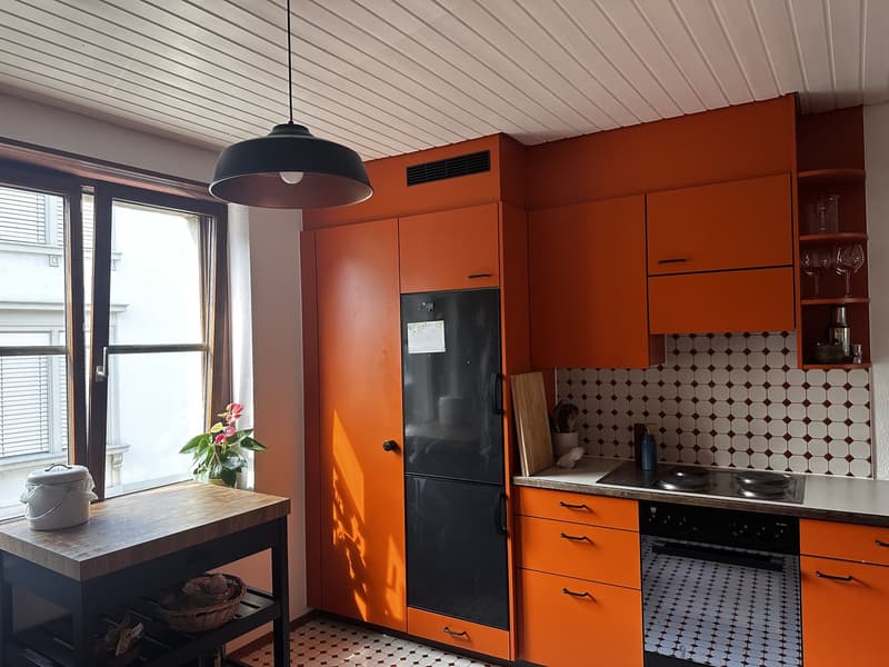 Appartement 2.5 pièces au bord du lac (3)