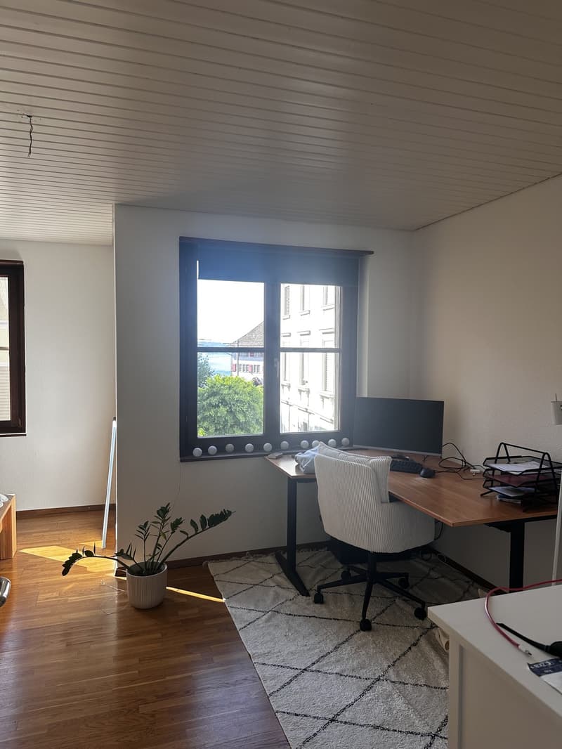 Appartement 2.5 pièces au bord du lac (5)