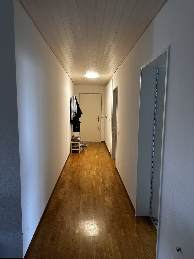 Appartement 2.5 pièces au bord du lac (7)
