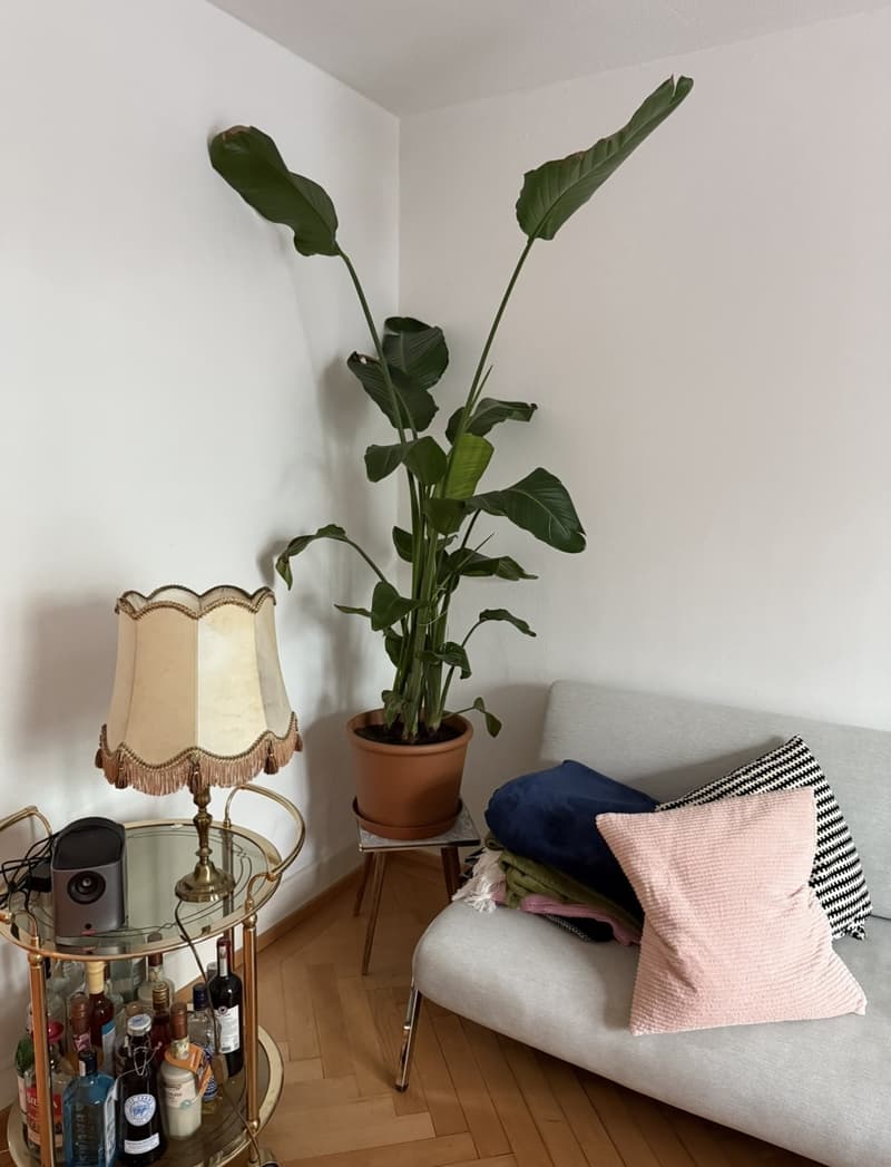 Chambre d'été au cœur du district 3 (1)