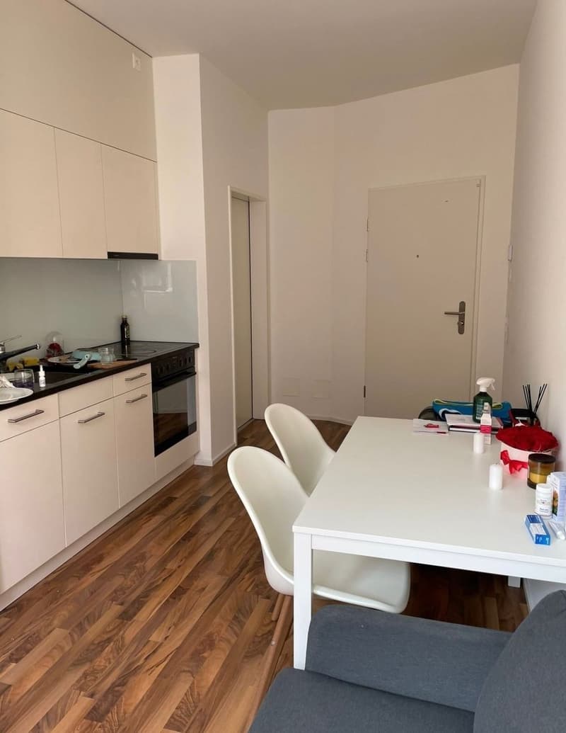 Appartamento 1,5 locali in Zypressenstrasse - Zürich (1)