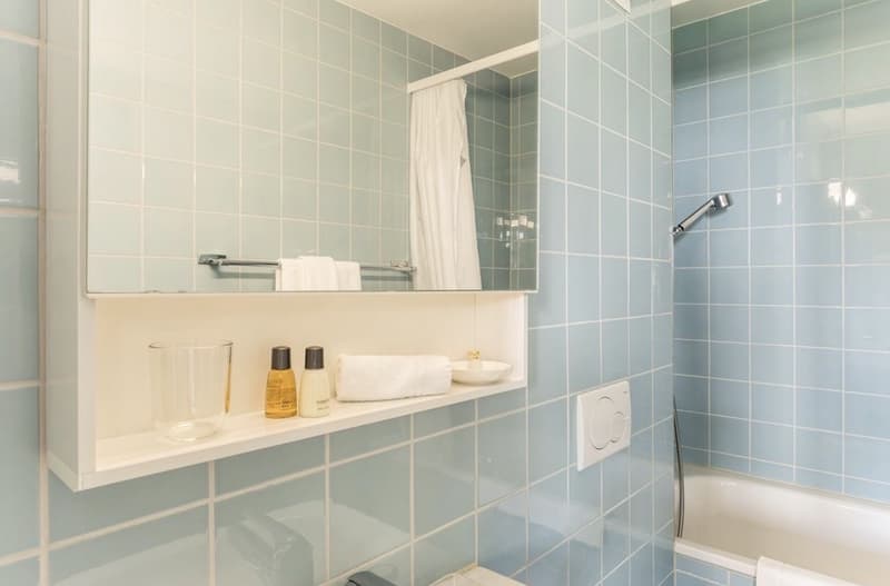 2 ½ rooms apartment, 8050 Zurich (3)