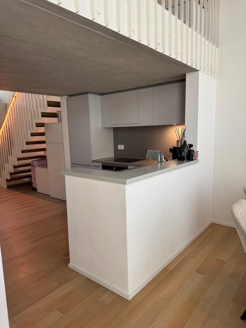 1 ½ Zimmer-Wohnung, 8304 Wallisellen (4)