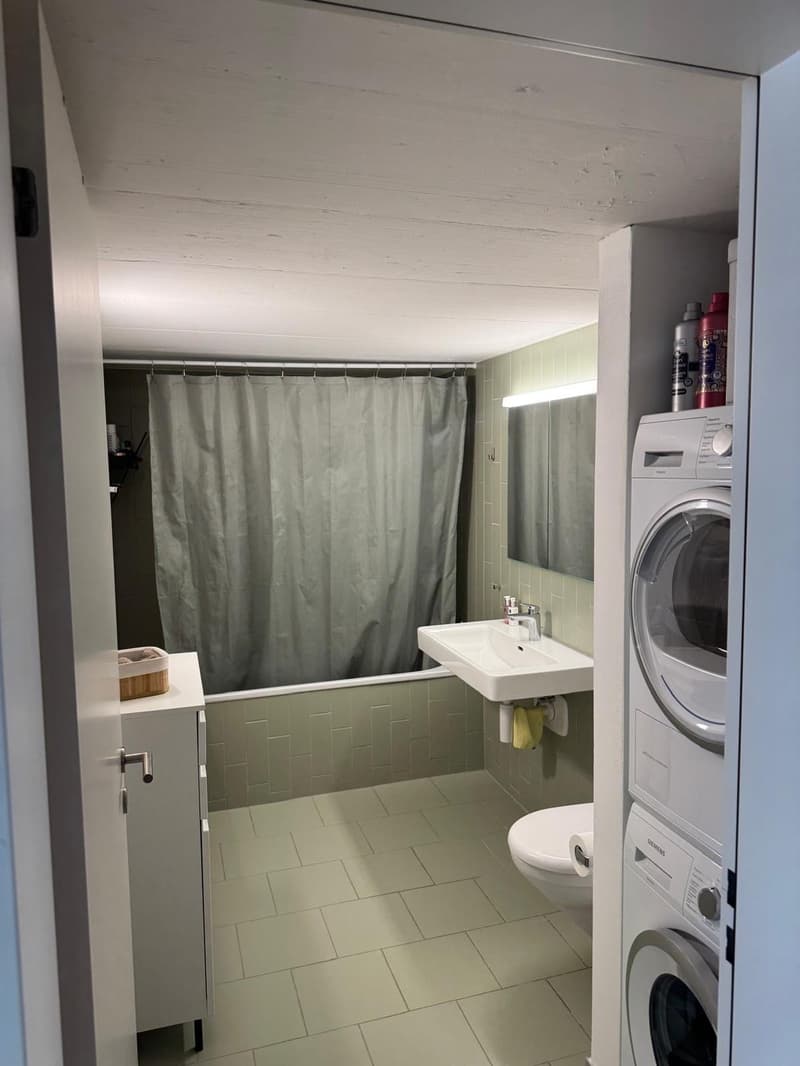 1 ½ Zimmer-Wohnung, 8304 Wallisellen (8)