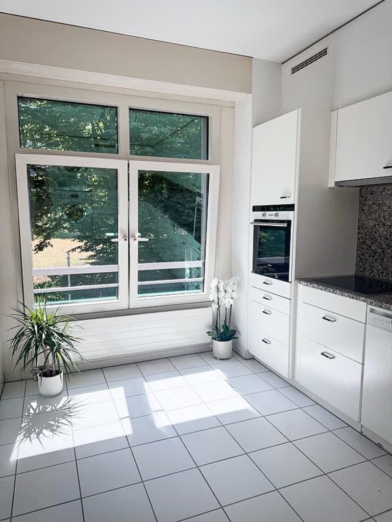 Beautiful 3.5-room apartment in Zürich Enge lease takeover until 31 March 2027 (6)