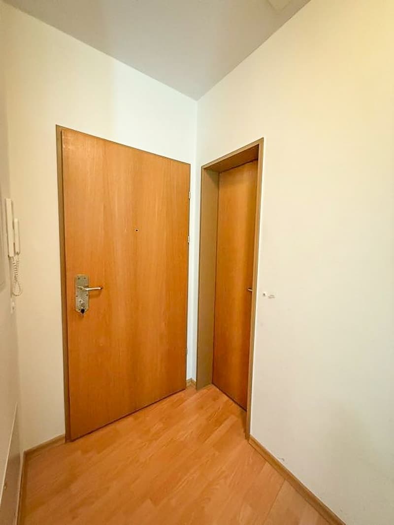 Beautiful 3.5-room apartment in Zürich Enge lease takeover until 31 March 2027 (11)