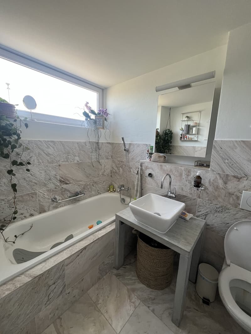 Appartement 3 ½ pièces, 8800 Thalwil (7)
