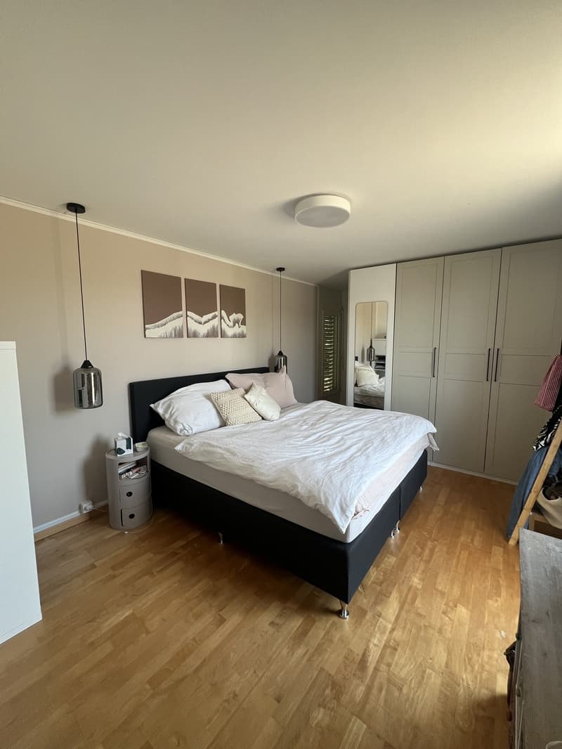 Appartement 3 ½ pièces, 8800 Thalwil (5)