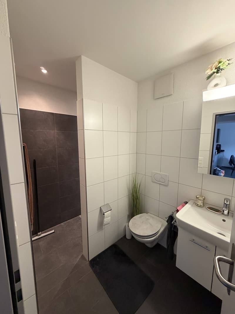 Moderne 2.5 Zimmer Wohnung (6)