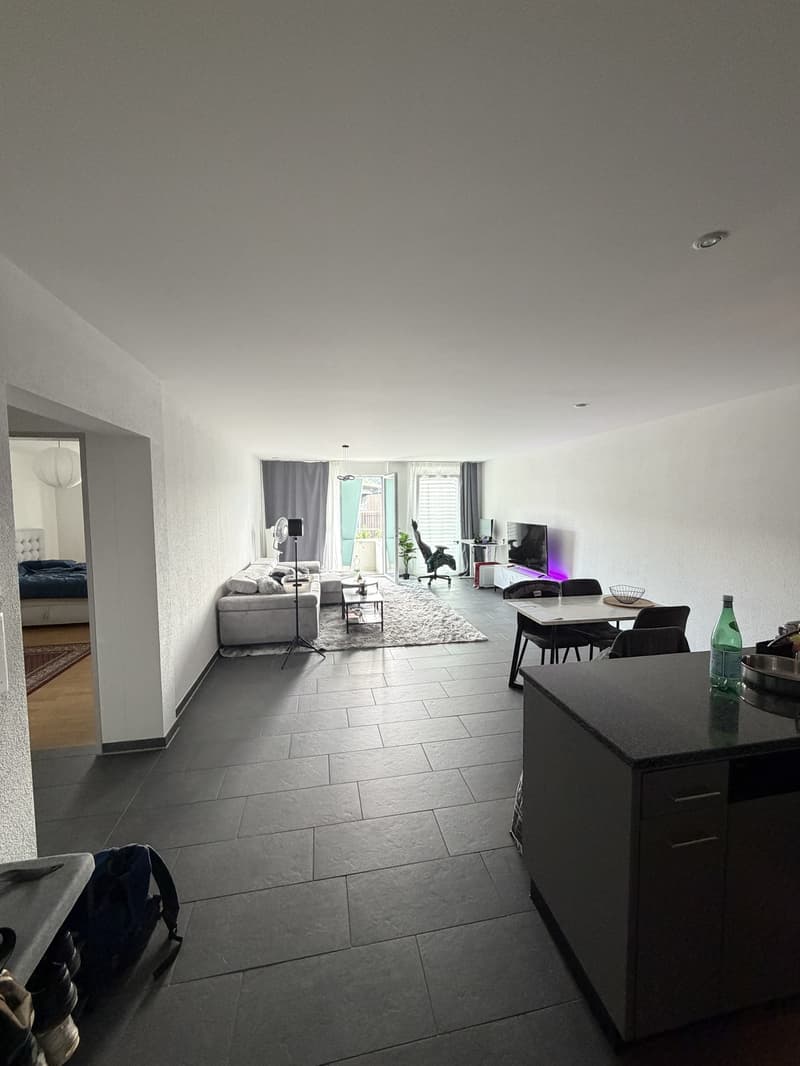 Moderne 2.5 Zimmer Wohnung (3)