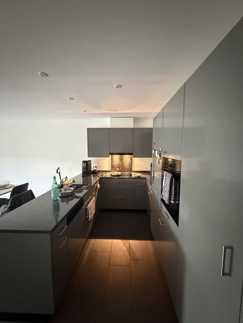 Moderne 2.5 Zimmer Wohnung (5)