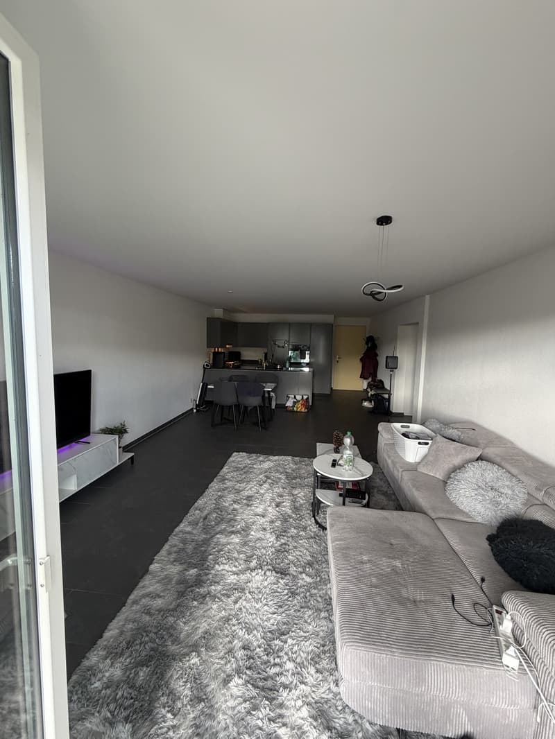 Moderne 2.5 Zimmer Wohnung (1)