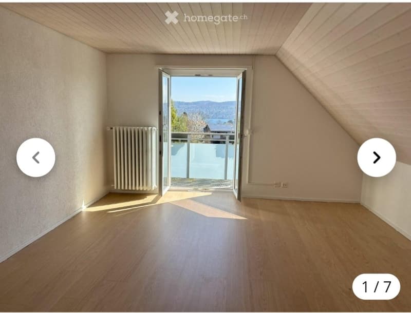 Appartamento mansardato di 3 camere in posizione ottimale con vista spettacolare sul lago (1)