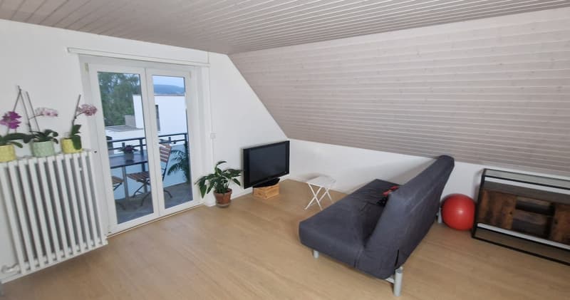 Appartamento mansardato di 3 camere in posizione ottimale con vista spettacolare sul lago (3)