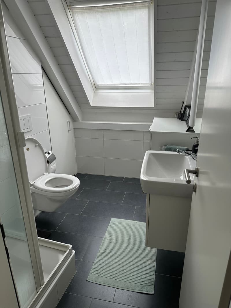 1 ½ rooms apartment, 8038 Zurich (5)