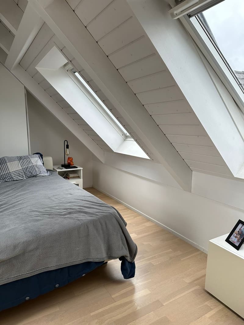 1 ½ rooms apartment, 8038 Zurich (9)