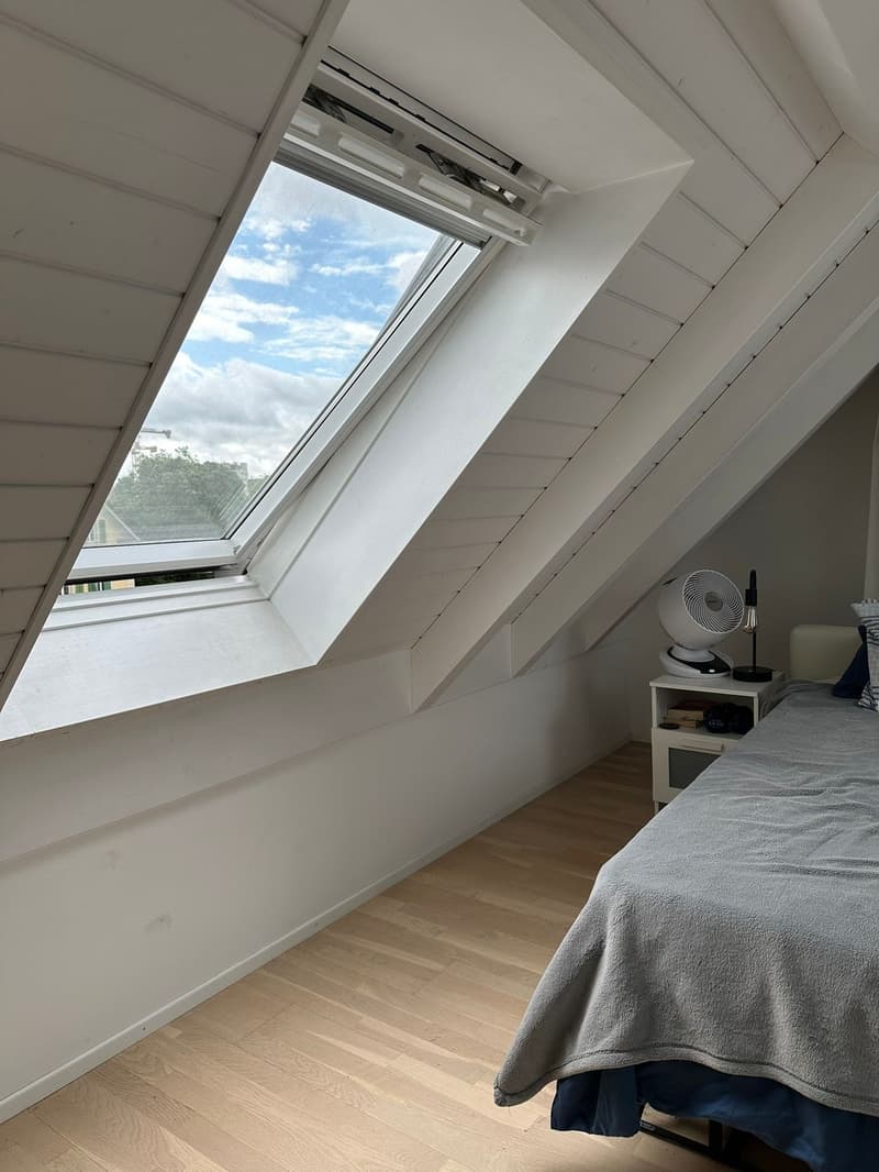 1 ½ rooms apartment, 8038 Zurich (10)