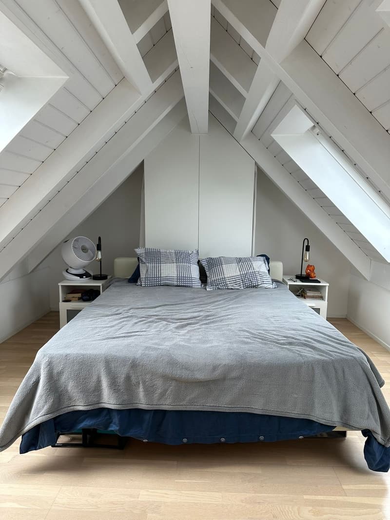 1 ½ rooms apartment, 8038 Zurich (8)