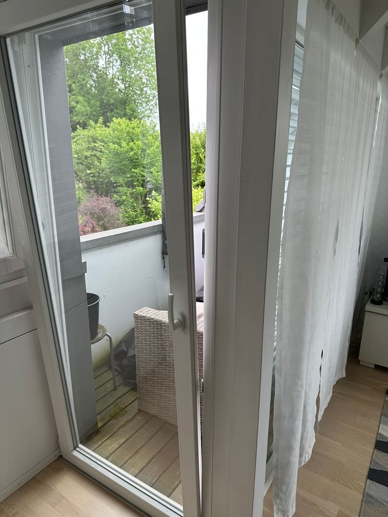 1 ½ rooms apartment, 8038 Zurich (11)