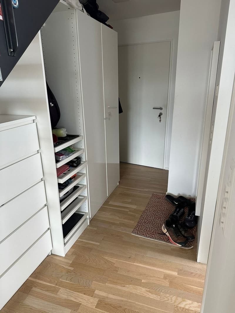 1 ½ rooms apartment, 8038 Zurich (4)