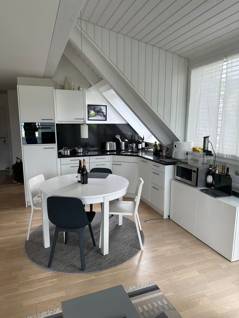 1 ½ rooms apartment, 8038 Zurich (2)