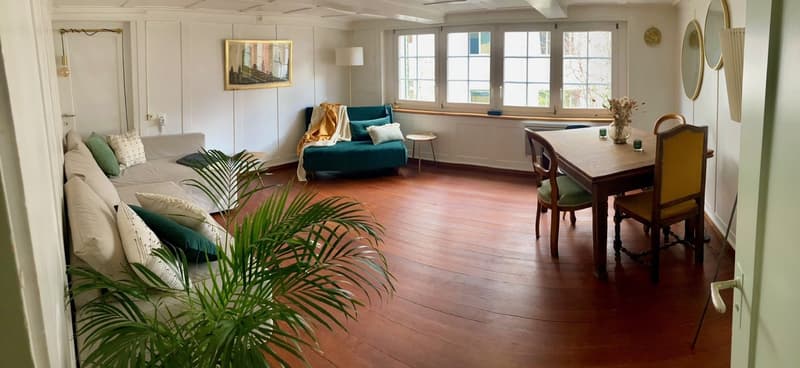 Bright old building apartment in the historic village center (1)