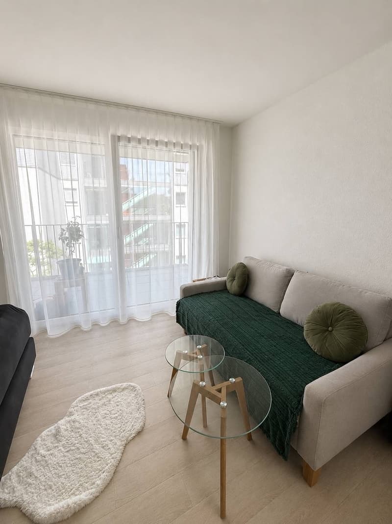 1 ½ room apartment, 8048 Zurich (1)