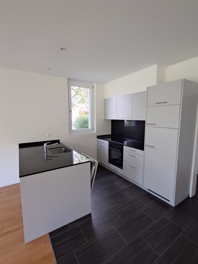 Helle 2.5-Zimmer-Wohnung mit Terrasse (2)