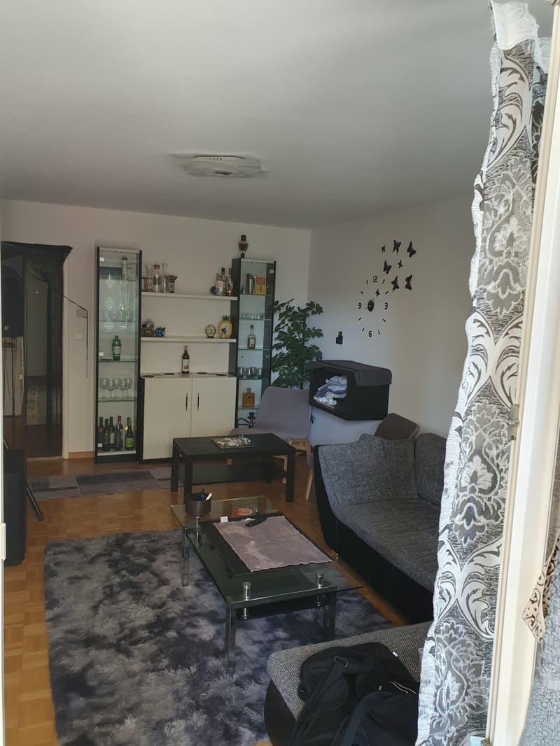 Appartamento temporaneo di 2,5 locali (con balcone) in affitto fino a fine ottobre 2026 (1)