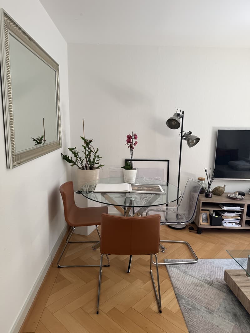 2.5-Room Apartment for Rent Pflanzschulstrasse 49, Zürich (2)