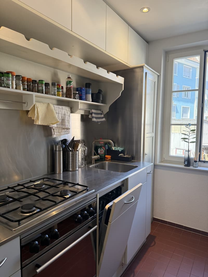 2.5-Room Apartment for Rent Pflanzschulstrasse 49, Zürich (3)