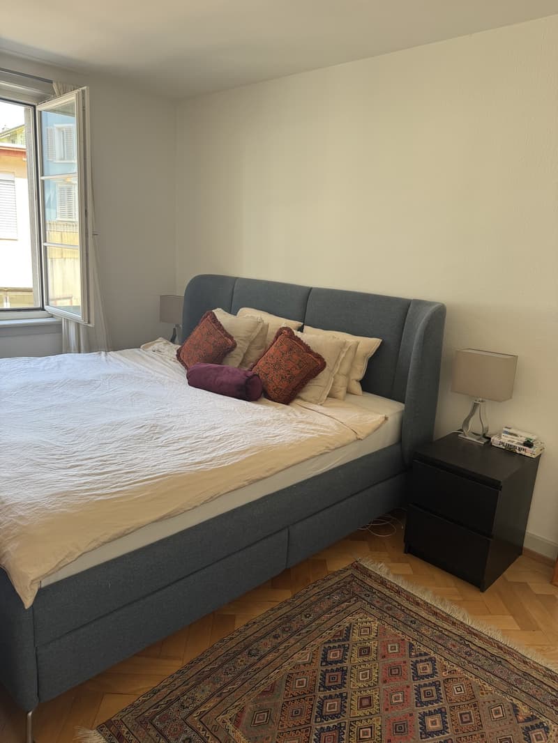 2.5-Room Apartment for Rent Pflanzschulstrasse 49, Zürich (5)