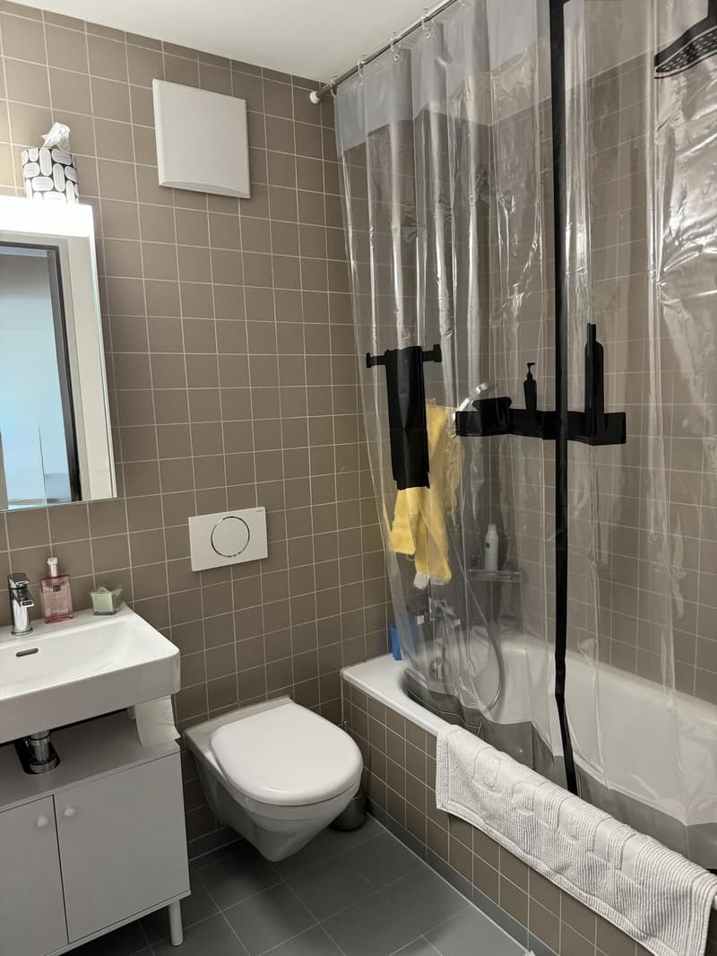 Charmant appartement 3.5 pièces dans le quartier Zwicky, recherche sous-locataire (6)