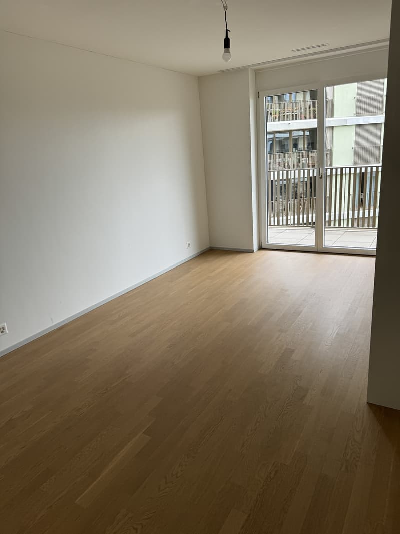 Charmant appartement 3.5 pièces dans le quartier Zwicky, recherche sous-locataire (5)