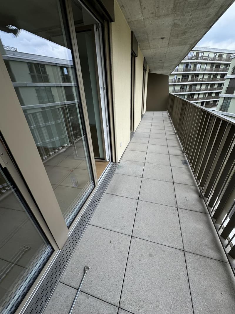 Charmant appartement 3.5 pièces dans le quartier Zwicky, recherche sous-locataire (4)