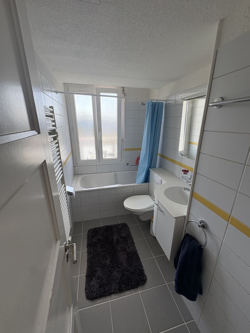 Balcony and sea view sublet from 15.07.26 (5)