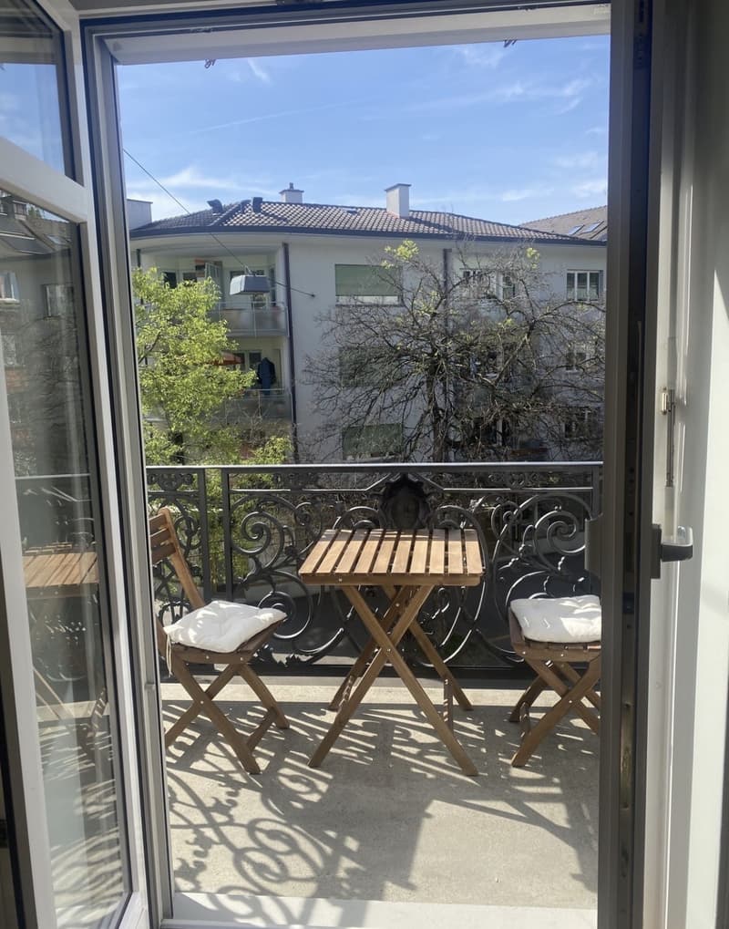 Bel appartement de ville (4)