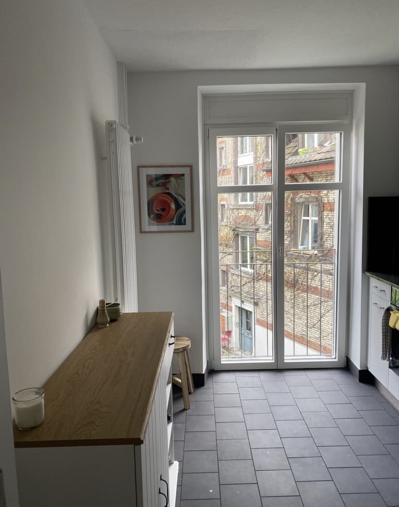 Bel appartement de ville (5)