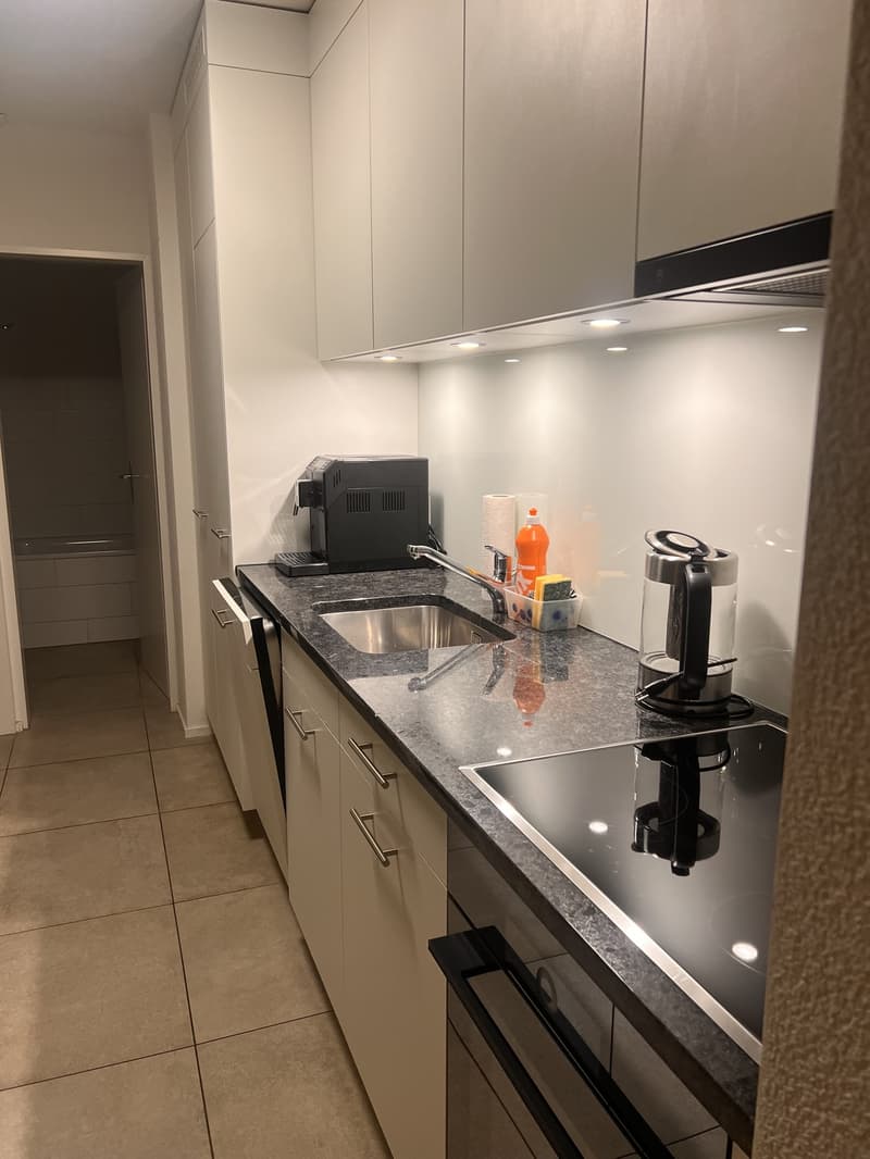 Modern, furnished 2-room apartment in a quiet location (4)