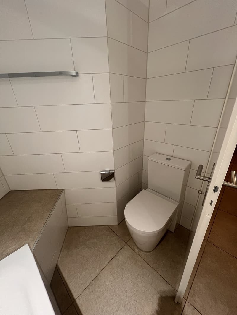Modern, furnished 2-room apartment in a quiet location (3)