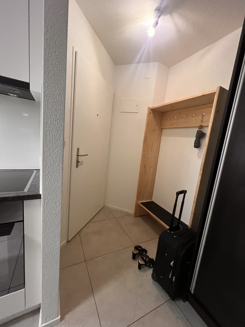 Modern, furnished 2-room apartment in a quiet location (7)