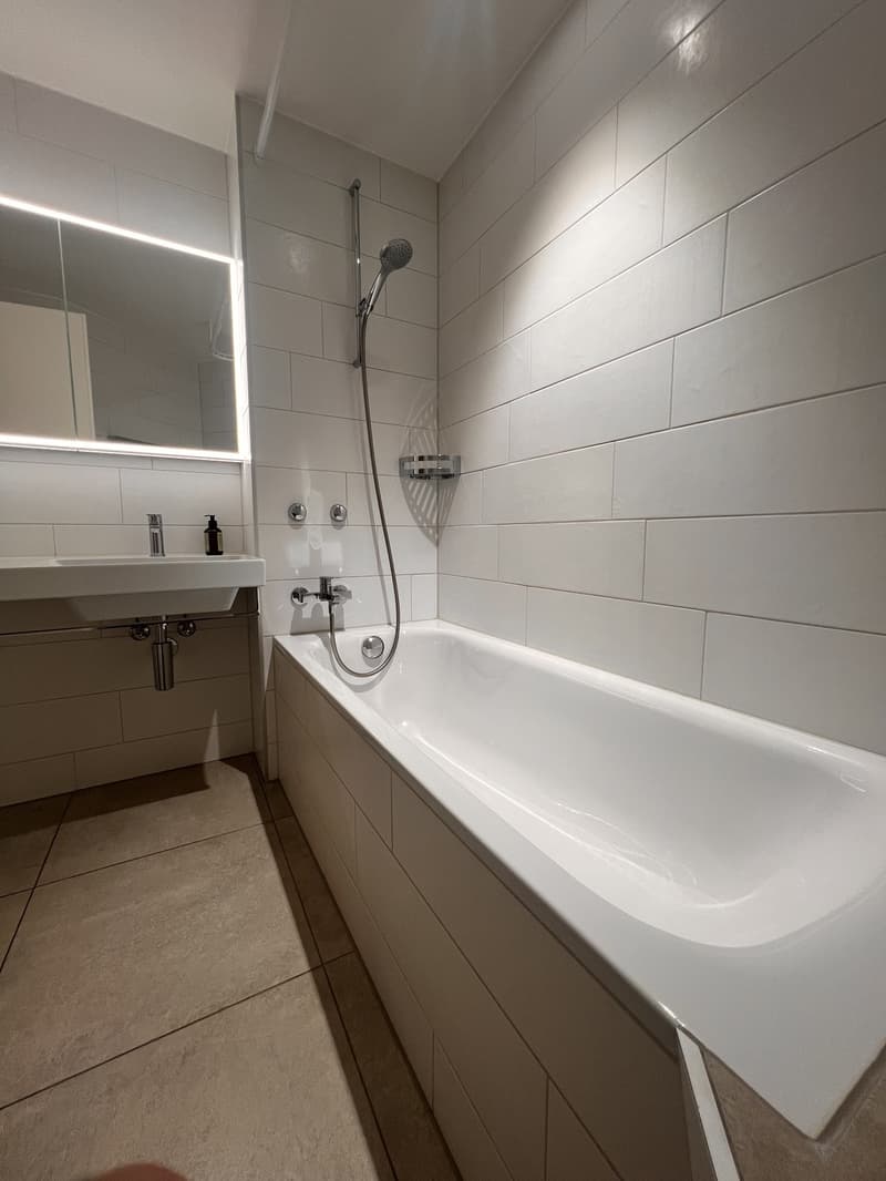 Modern, furnished 2-room apartment in a quiet location (2)