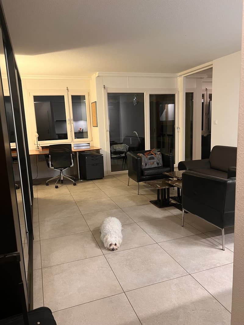 Modern, furnished 2-room apartment in a quiet location (8)