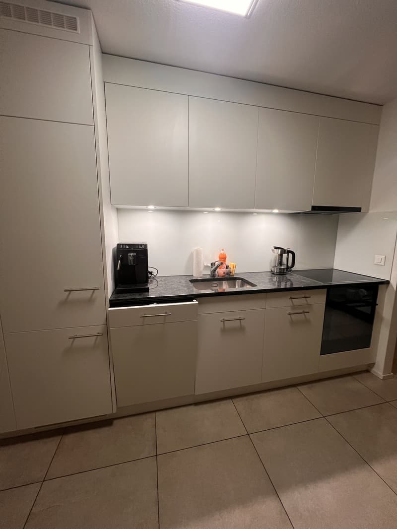 Modern, furnished 2-room apartment in a quiet location (5)